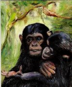 Two Chimps